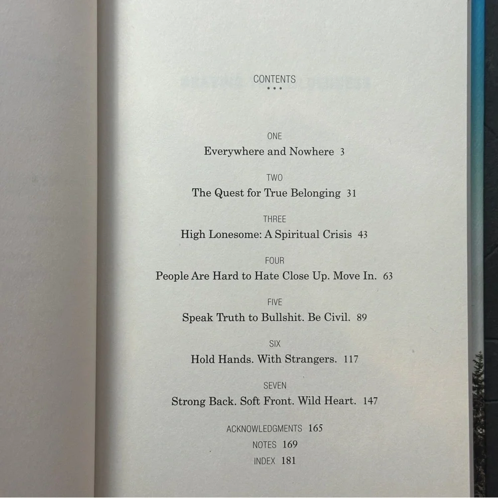 โ SOLD โ Braving The Wilderness by Brenรฉ Brown | Self-Help, Psychology | HB - Picture 10 of 11